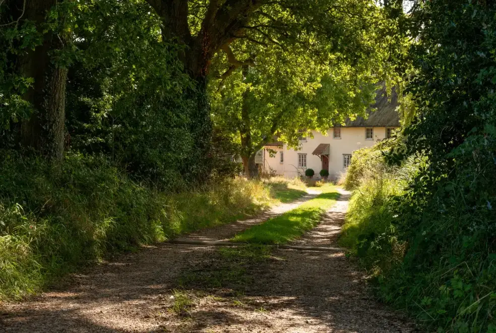 Good walks near Mill Cottage