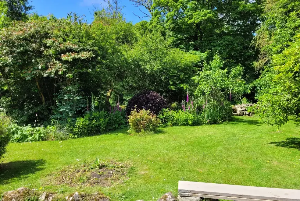 Garden at Mill Lodge