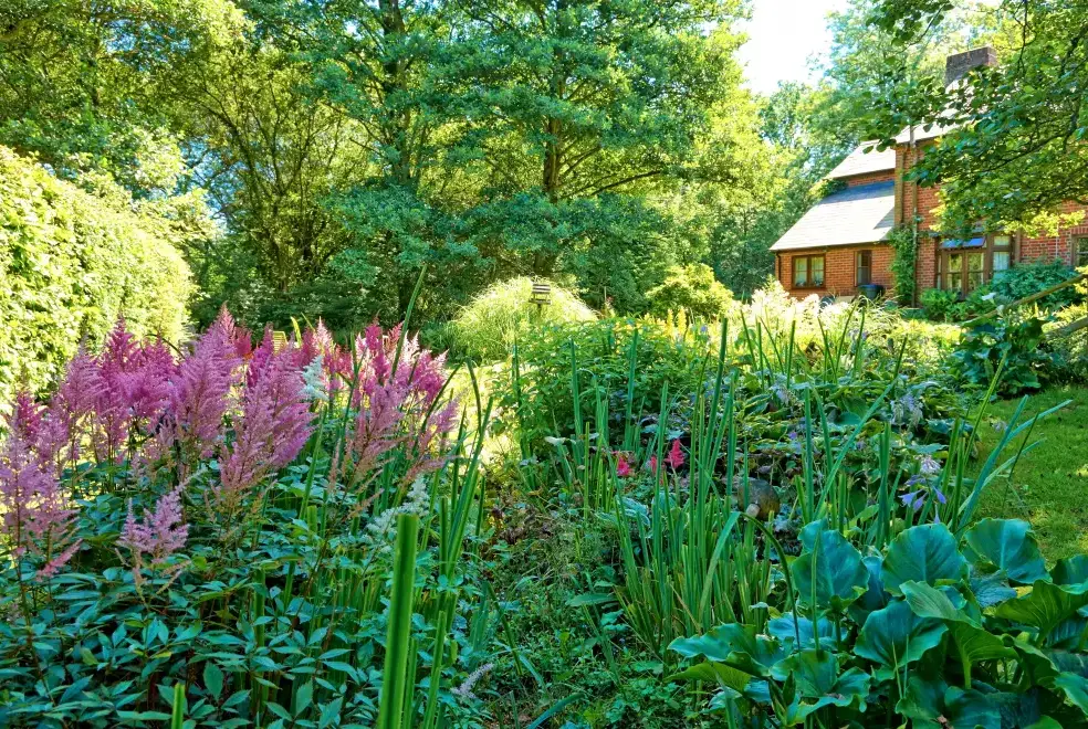 Garden at Millers End