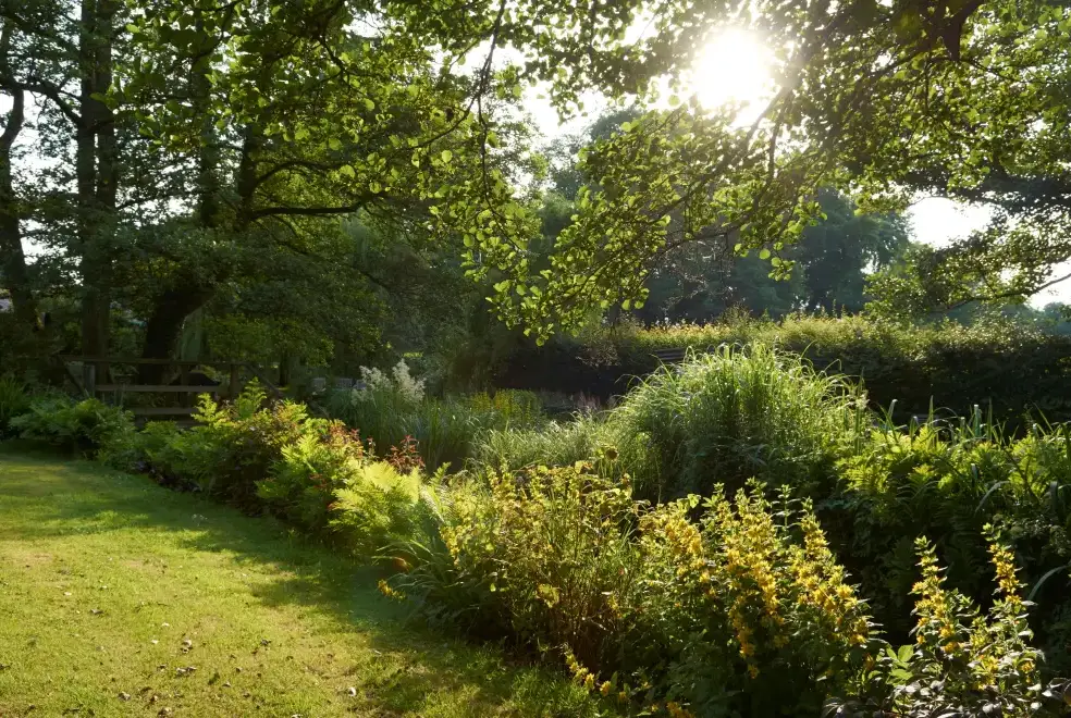 Garden at Millers End