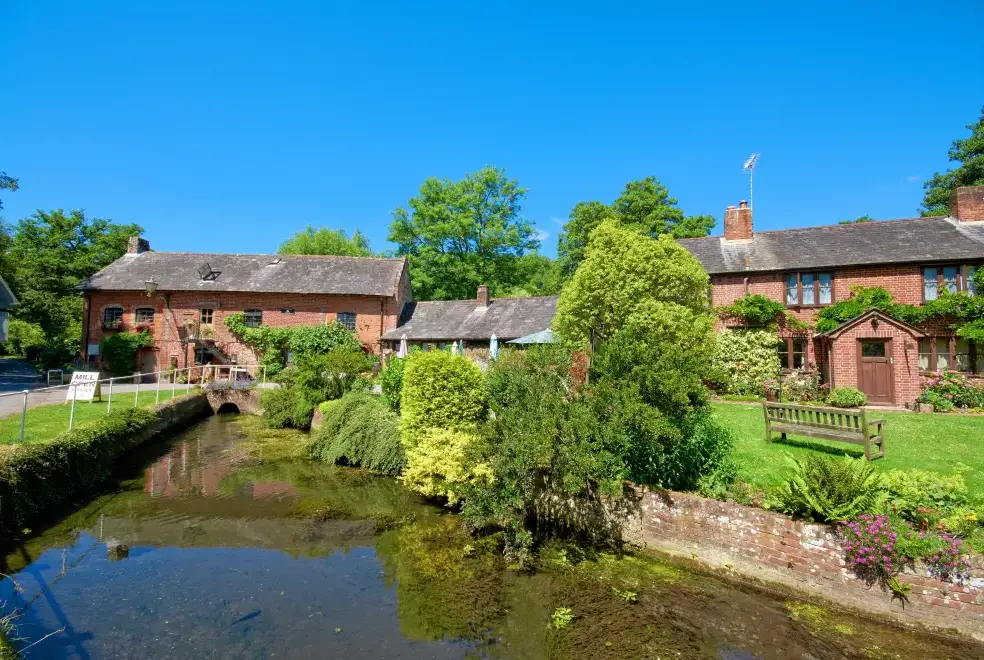Countryside near Millers End