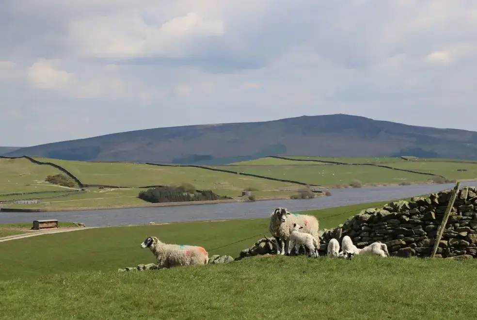 Countryside views at Moorlands Manor