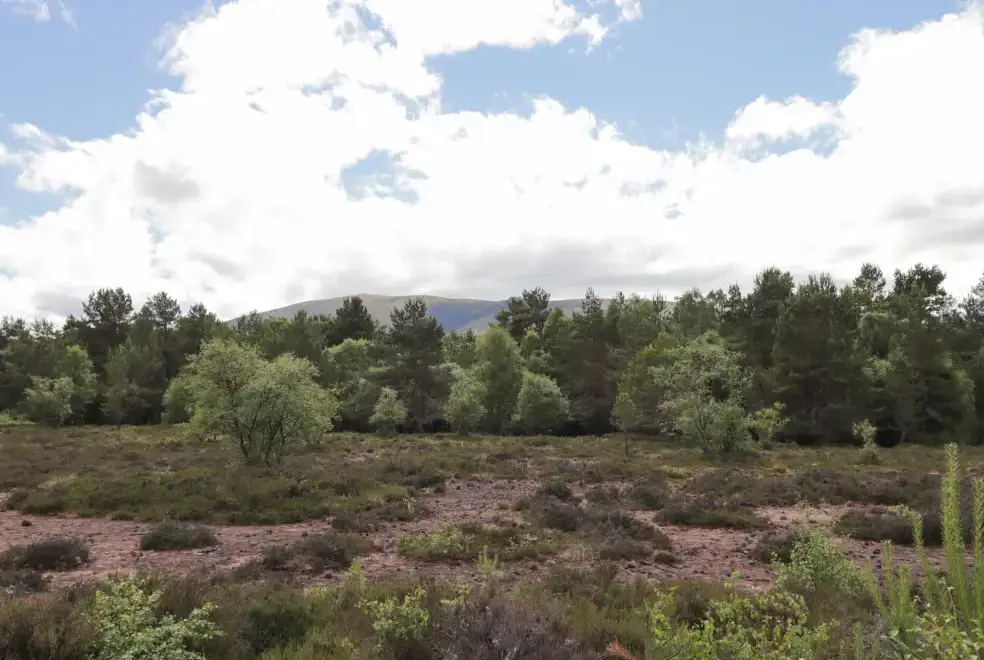 Countryside near Moss of Bourach