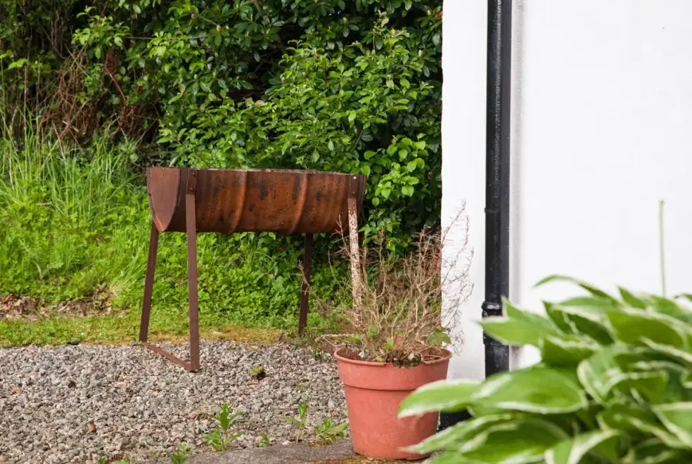 BBQ at Mr McGregors' Cottage