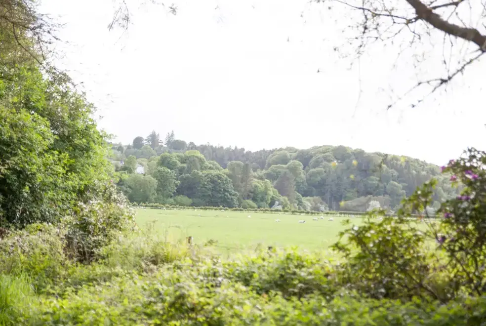 Countryside views at Mr McGregors' Cottage