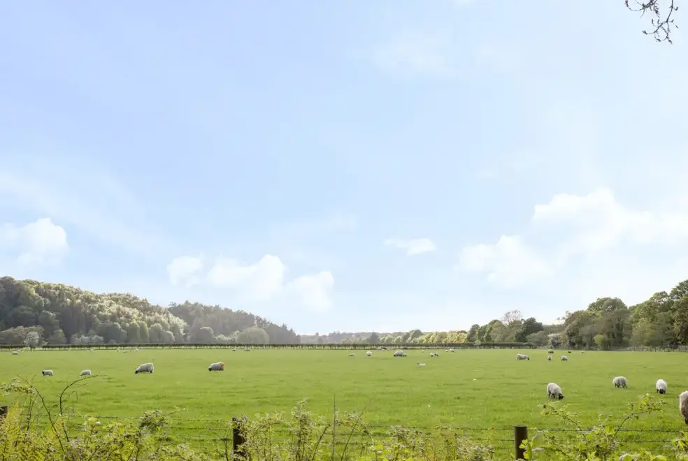 Countryside views at Mr McGregors' Cottage