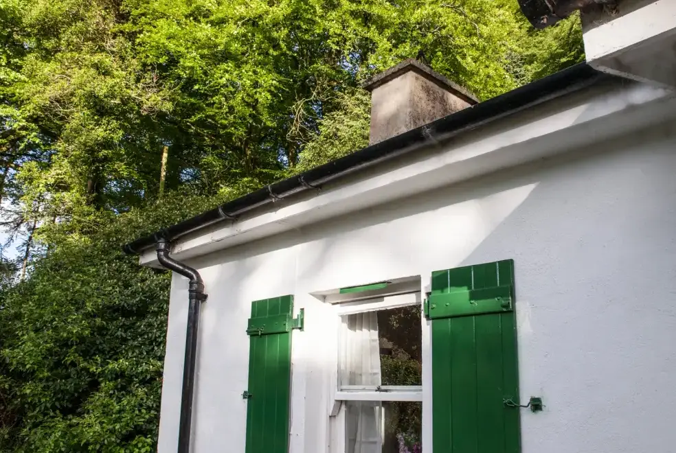 Surrounding area near Mr McGregors' Cottage