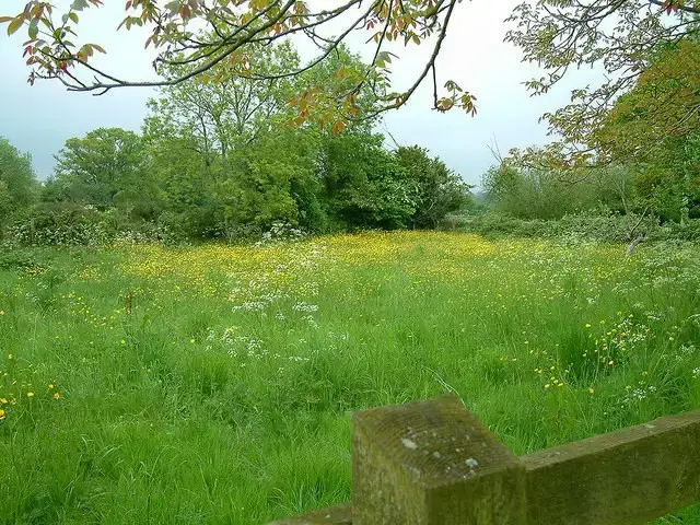 Countryside views at Myrtle House Old Farmhouse and Annexe
