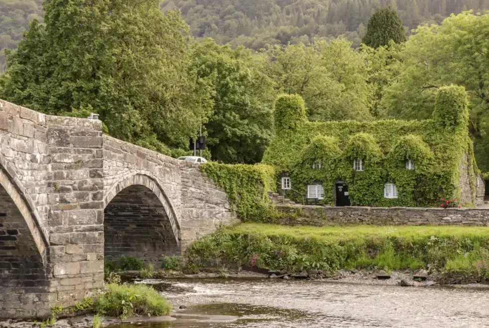 Countryside near Nant Cottage