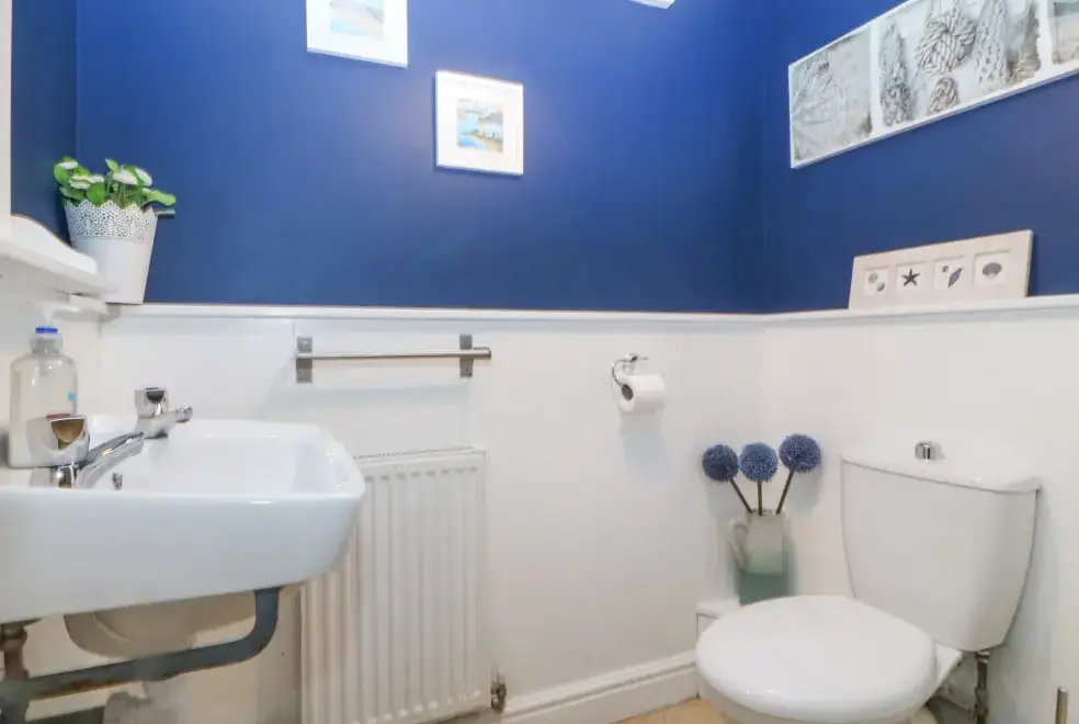 Loo at Nant-yr-Rhedyn