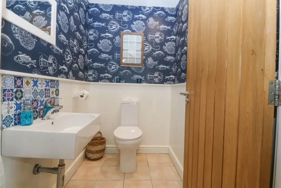 Loo at Nant-yr-Rhedyn