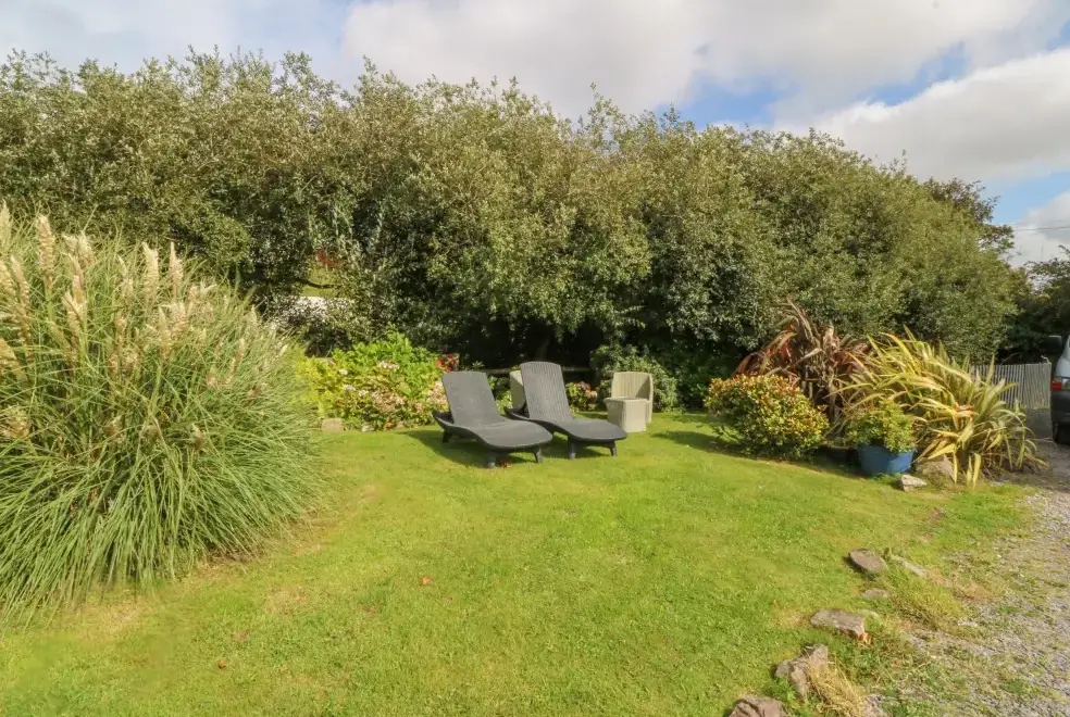 Garden at Nant-yr-Rhedyn