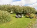 Garden at Nant-yr-Rhedyn - thumbnail photo