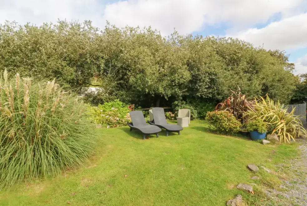 Garden at Nant-yr-Rhedyn