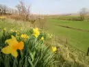 Countryside views at Netherscar - thumbnail photo
