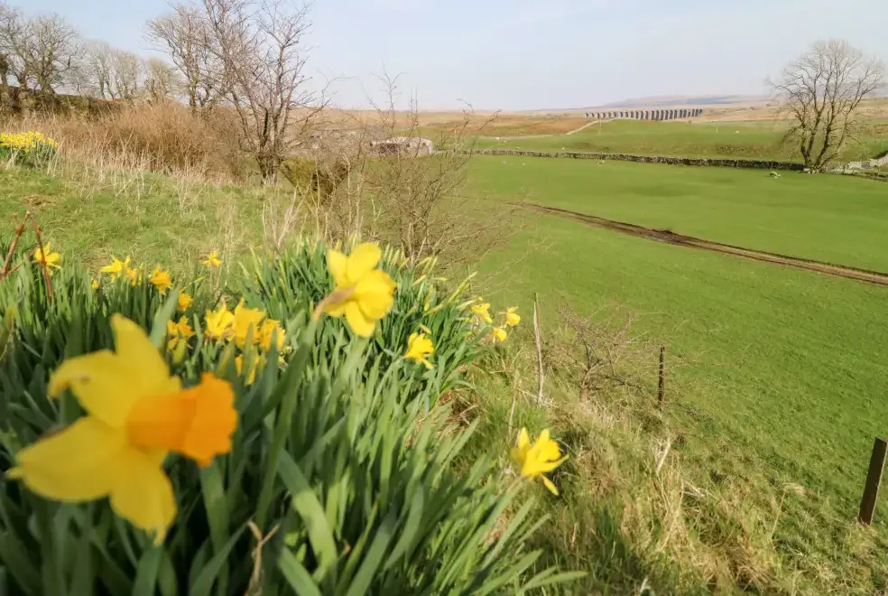 Countryside views at Netherscar