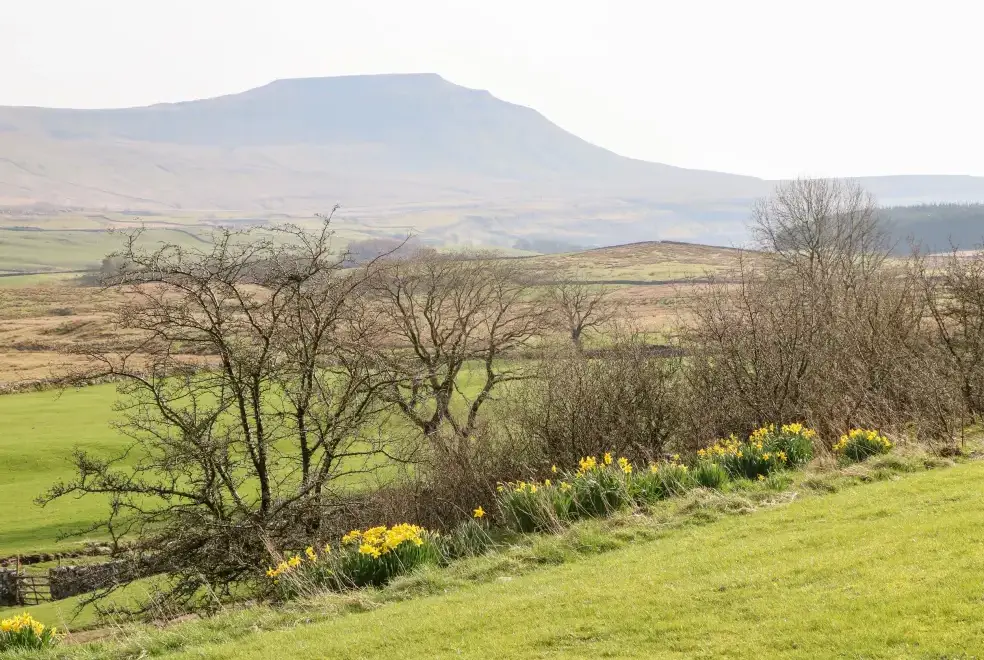 Countryside views at Netherscar