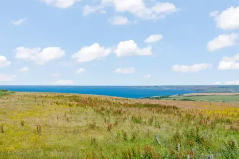 Coastal scenes near Nine Ocean Reach, Devon