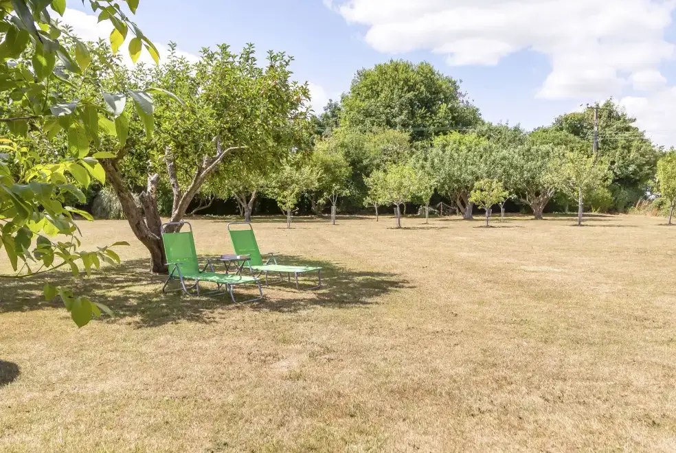 Garden at Norbank Garden Studio