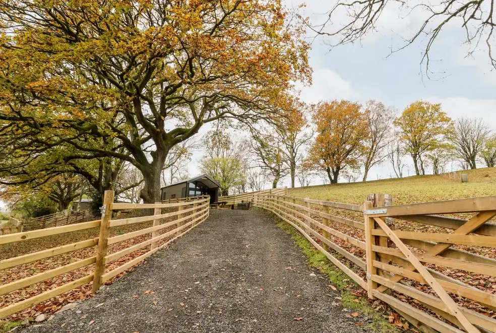 Countryside near Oak Tree View
