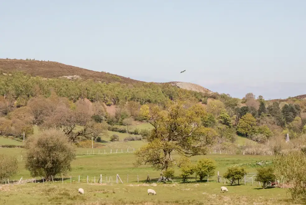 Countryside views at Oakwood Rural Cottage, North Wales