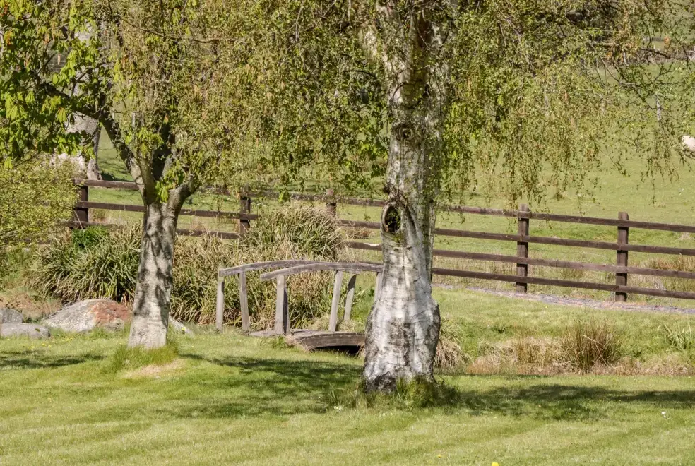 Countryside views at Oakwood Rural Cottage, North Wales