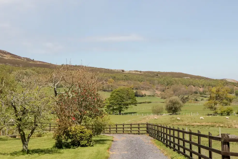Countryside views at Oakwood Rural Cottage, North Wales