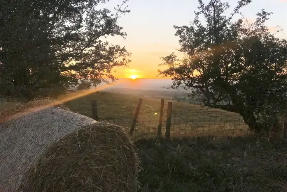 Countryside views at Old Barn House, Hereford