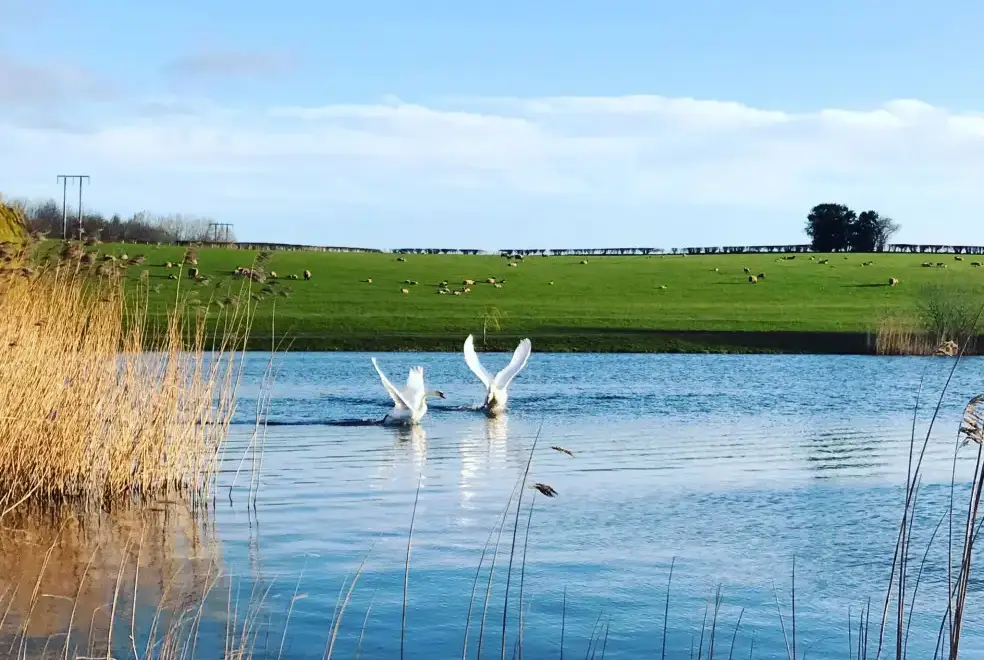 Lake view at Old Barn House, Hereford