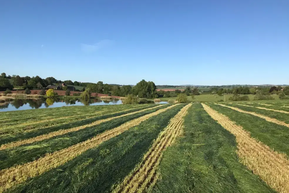 Family bathroom at Old Barn House, Hereford