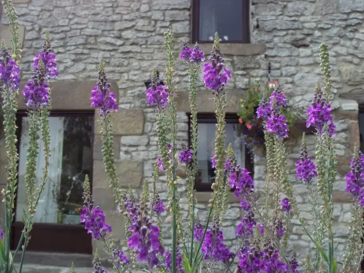 Countryside near Old Coach House
