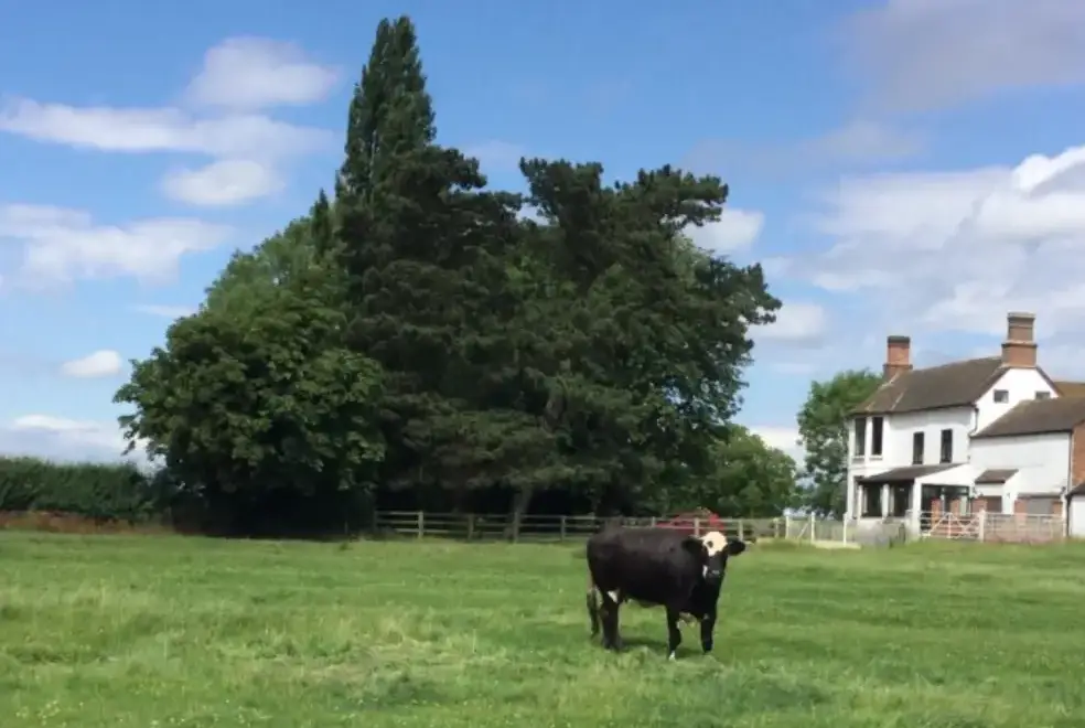 Countryside near Old Guadaloupe Farm House