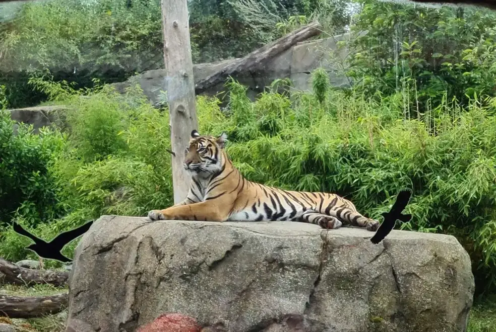 Countryside views at Oliver's Mill with shared Indoor Pool, Sports Court & Play Area