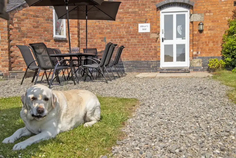 Dogs welcome at Oliver's Mill with shared Indoor Pool, Sports Court & Play Area