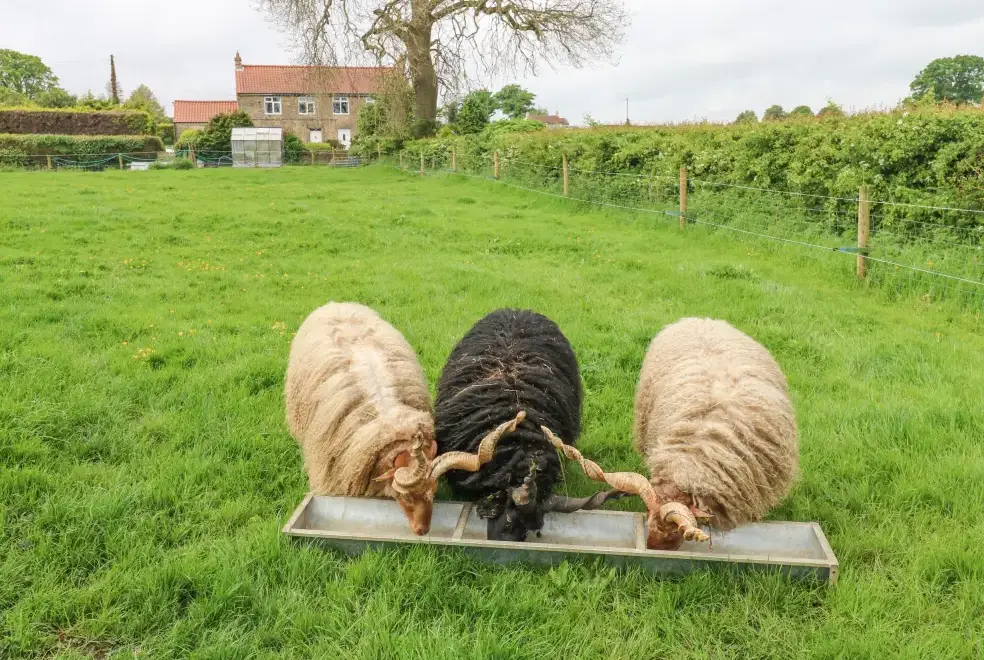 Countryside near Otters Holt