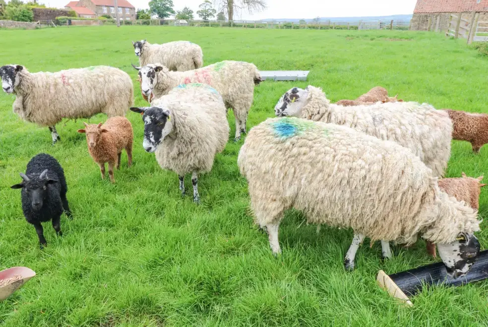 Countryside near Otters Holt