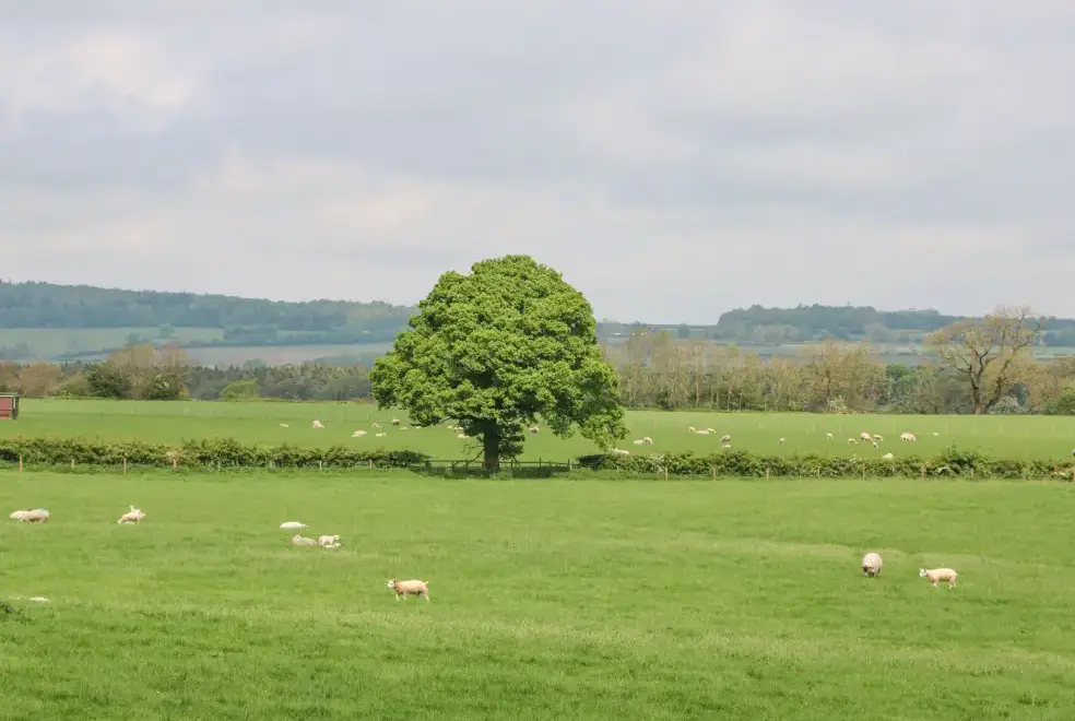 Countryside views at Otters Holt