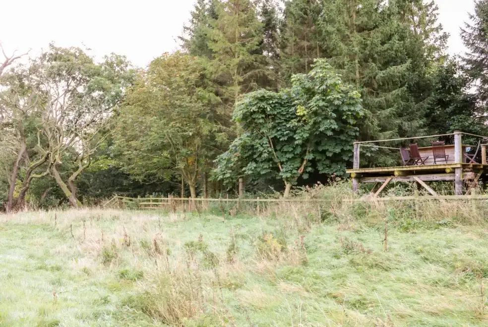 Countryside near Otters Holt