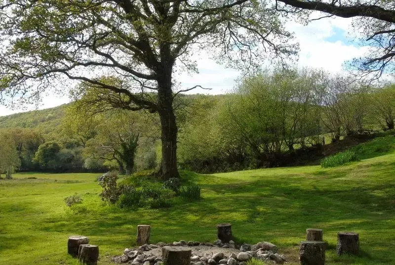 Firepit at Owl Lodge