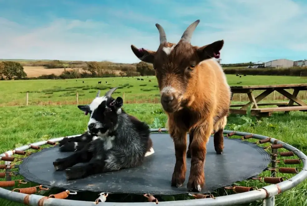 Countryside views at Parlour Barn