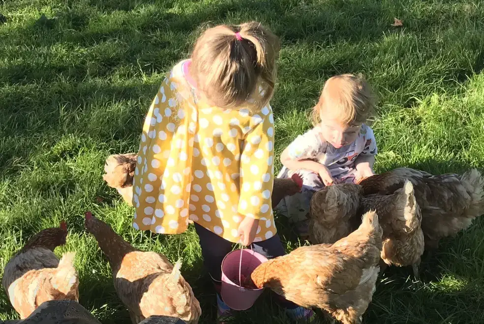 Garden at Parlour Barn
