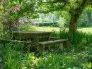 Garden furniture at Parnacott - thumbnail photo