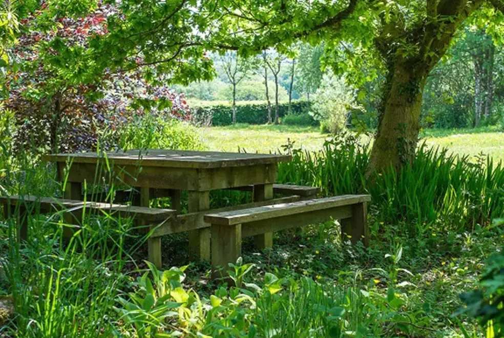 Garden furniture at Parnacott