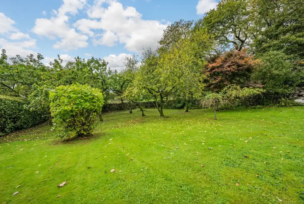 Garden at Peel Place Noddle