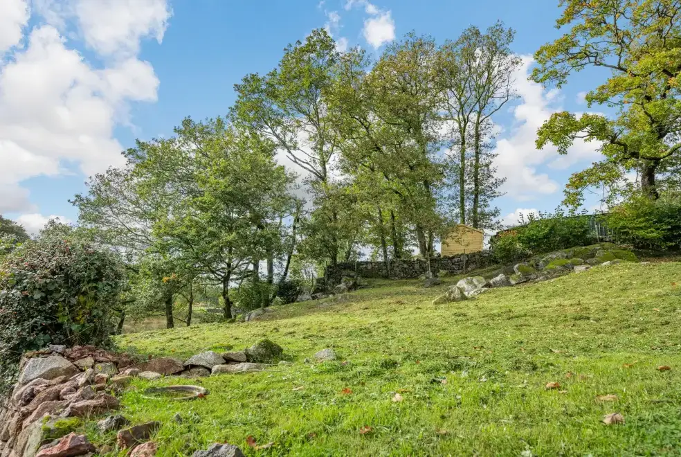 Countryside near Peel Place Noddle