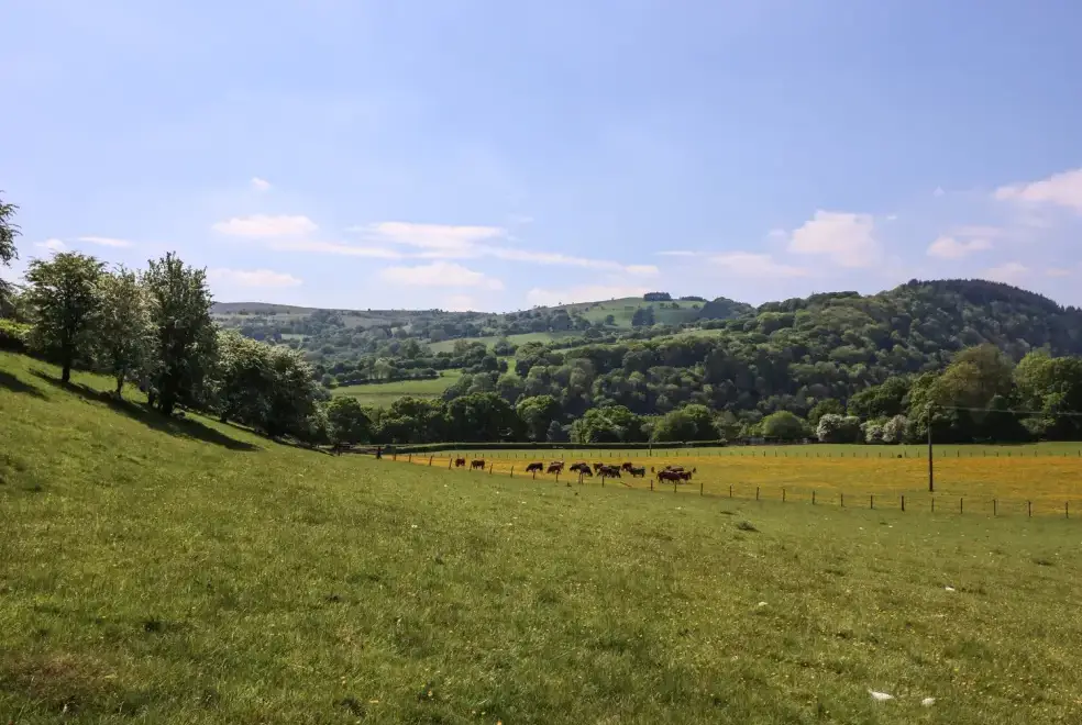 Countryside views at Pen Y Maes
