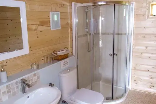 Shower room at Pennylands Willow Lodge