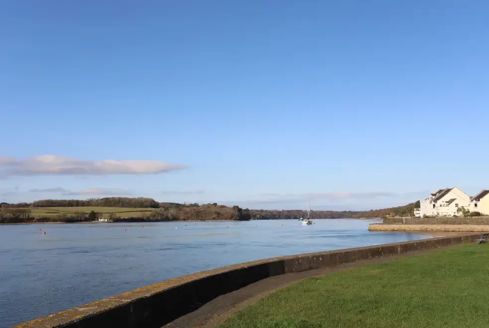 Lake view at Penrallt Cottage