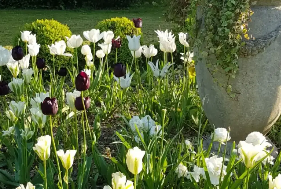 Garden at Penty Parc