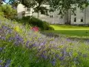  at Penty Parc - thumbnail photo